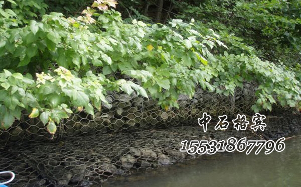 格賓網生態護岸